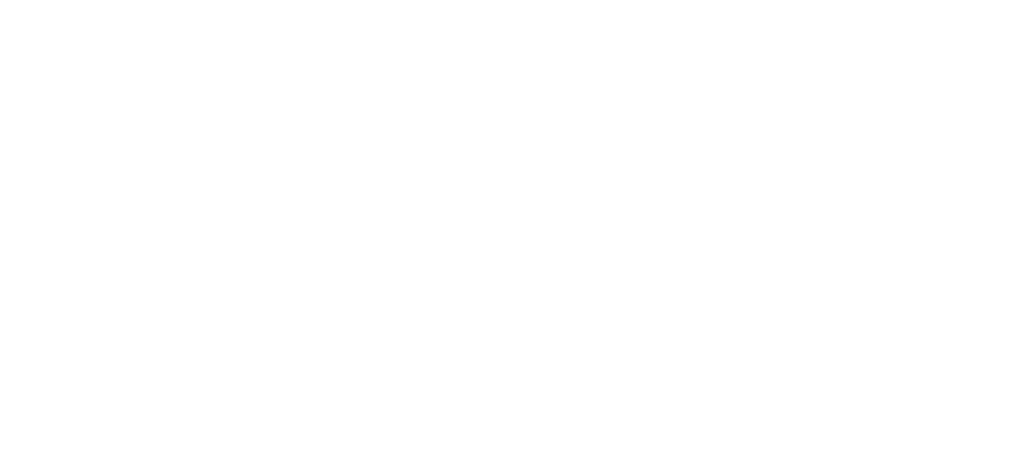 Destination Markham Logo